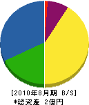 湘山開発 貸借対照表 2010年8月期