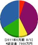 松井電機工業所 貸借対照表 2011年6月期