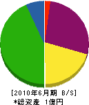 岡坂組 貸借対照表 2010年6月期