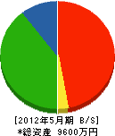 埼北電気工業 貸借対照表 2012年5月期