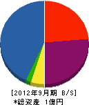 野沢土建 貸借対照表 2012年9月期