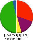 浜田建設 貸借対照表 2009年6月期