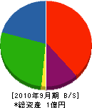 東栄電気 貸借対照表 2010年9月期