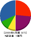 松本工務店 貸借対照表 2009年6月期