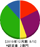 川崎農園 貸借対照表 2010年12月期