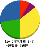 誠興電機 貸借対照表 2012年5月期