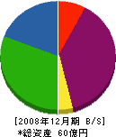 昭和窯業 貸借対照表 2008年12月期