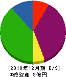 菅井商建 貸借対照表 2010年12月期