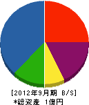 矢田設備工業 貸借対照表 2012年9月期