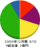 弓山建設 貸借対照表 2009年12月期