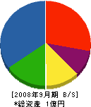 野田建設 貸借対照表 2008年9月期