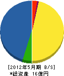 山菊開発 貸借対照表 2012年5月期