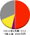 マエノ 損益計算書 2012年6月期