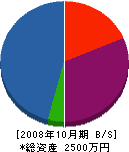 佐藤設備 貸借対照表 2008年10月期