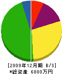伊東組 貸借対照表 2009年12月期