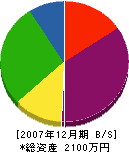 西田電気商会 貸借対照表 2007年12月期