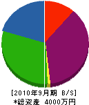 広島建設 貸借対照表 2010年9月期