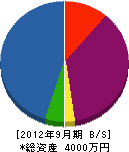 昭和良建設 貸借対照表 2012年9月期