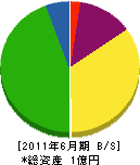 田中建設工業 貸借対照表 2011年6月期