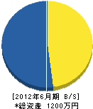 津田建設 貸借対照表 2012年6月期