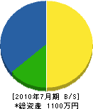 藤枝組 貸借対照表 2010年7月期