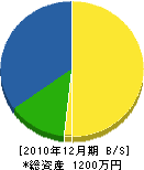 坪田建設 貸借対照表 2010年12月期