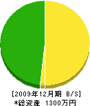 ヨコウチ電気 貸借対照表 2009年12月期