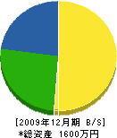 ワタナベ建設 貸借対照表 2009年12月期