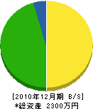 江本塗装工業 貸借対照表 2010年12月期