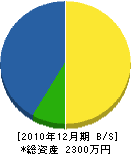 大川エンジニアリング 貸借対照表 2010年12月期
