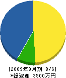 辻健建設 貸借対照表 2009年9月期