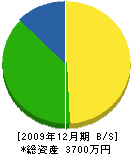 新井塗装店 貸借対照表 2009年12月期