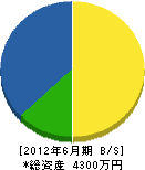 奈良工務所 貸借対照表 2012年6月期