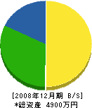 大井組 貸借対照表 2008年12月期