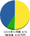 石山組 貸借対照表 2010年12月期