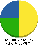渡辺造園 貸借対照表 2009年12月期