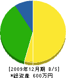 宮崎塗装店 貸借対照表 2009年12月期
