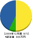 石田電気水道工事 貸借対照表 2009年12月期 石田電気水道工事 貸借対照表 2009年12月期
