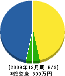永田左官工業 貸借対照表 2009年12月期