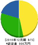林電巧社 貸借対照表 2010年12月期