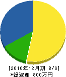筑豊ダイヤ 貸借対照表 2010年12月期