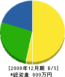 橋本組 貸借対照表 2008年12月期