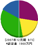 松岡塗装店 貸借対照表 2007年12月期