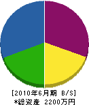 坂井建設 貸借対照表 2010年6月期