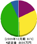 中山塗装店 貸借対照表 2009年12月期