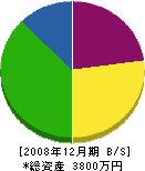 平井 貸借対照表 2008年12月期