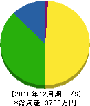 大渕組 貸借対照表 2010年12月期