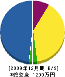 庭松 貸借対照表 2009年12月期