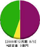 富島組興業 貸借対照表 2008年12月期