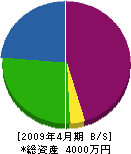 箸尾水道工業 貸借対照表 2009年4月期